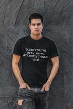 Load image into Gallery viewer, Mean awful acurate things Shirt
